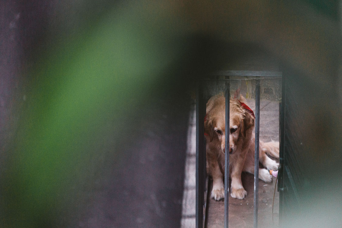 Biel Grimalt - PERSONAL - CONFINADOS